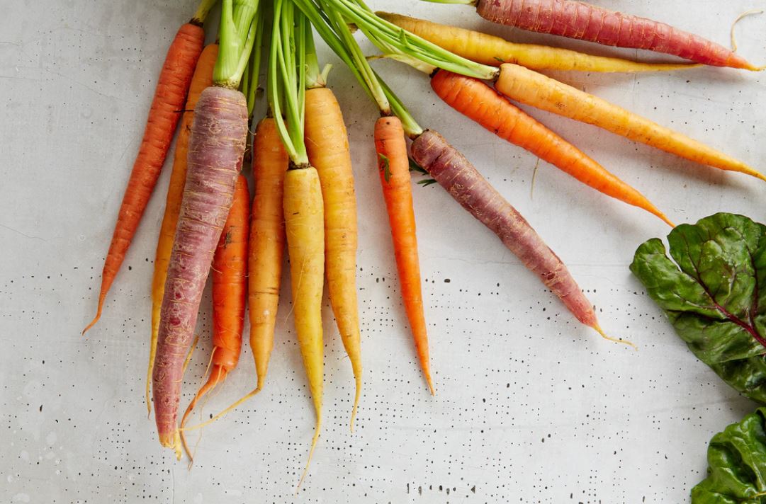 Bunch of colorful organic carrots and leafy greens on a table