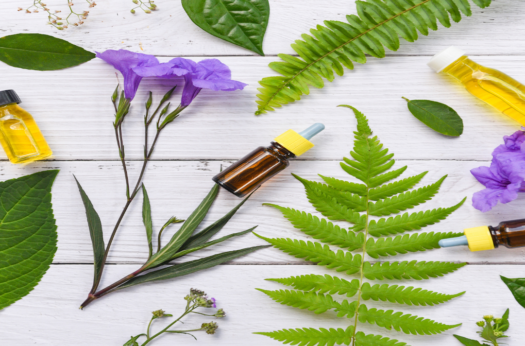 Essential oil bottles surrounded by fresh green leaves and purple flowers